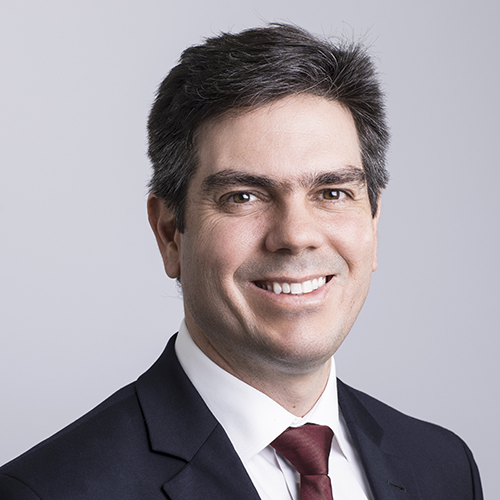 alexandre-aroeira alexandre-aroeira